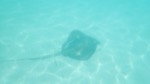resIMG_20180708_161108_P7080725.JPG